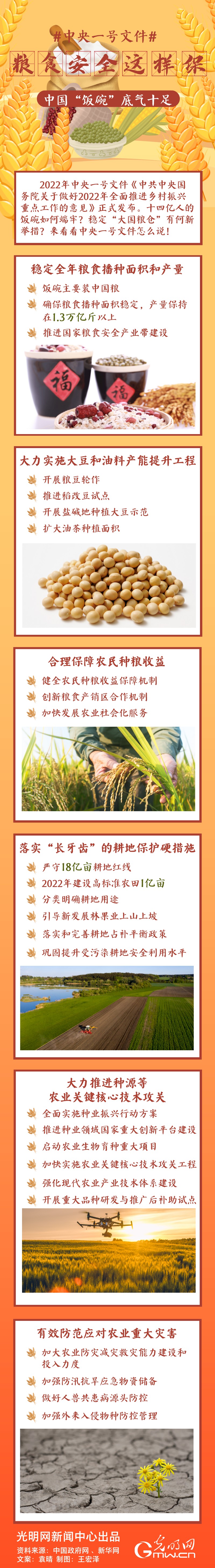 中央一號文件｜糧食安全這樣保，中國“飯碗”底氣十足