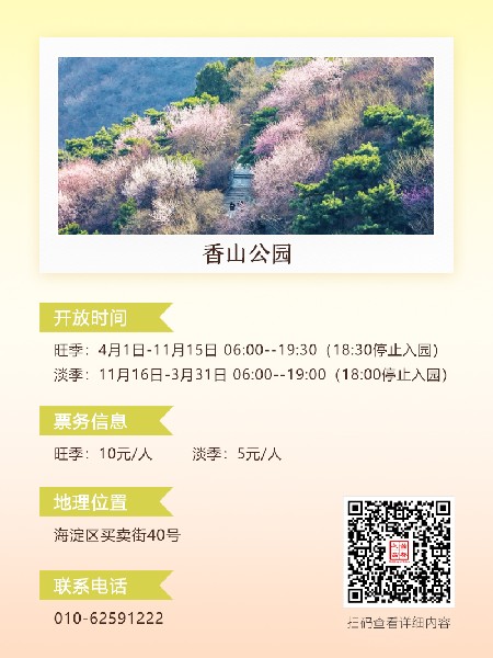 追花指南第六期！杏花雨 楊柳風 北京最美的杏花在這里