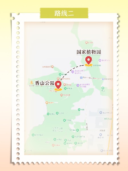 追花指南第六期！杏花雨 楊柳風 北京最美的杏花在這里