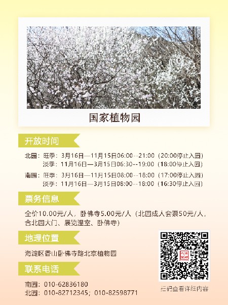 追花指南第六期！杏花雨 楊柳風 北京最美的杏花在這里
