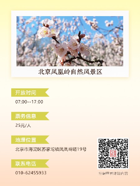追花指南第六期！杏花雨 楊柳風 北京最美的杏花在這里