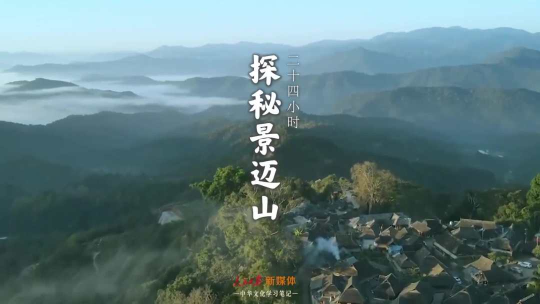 景邁山是個什么山？航拍云南普洱森林里的世界遺產