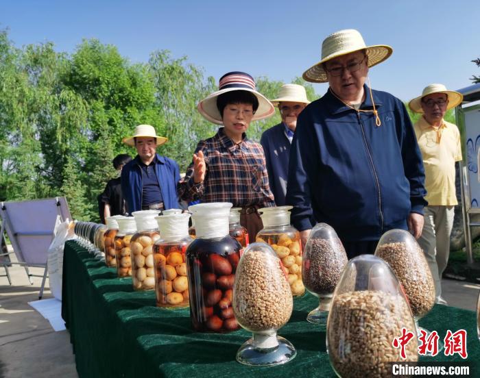 青海：利用冷涼氣候，打造高原綠色種業輸出地