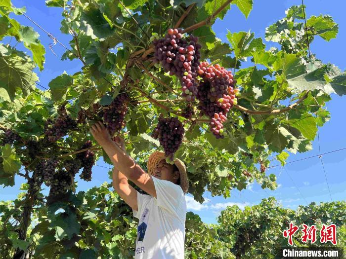 新疆多地“靜態管理”下各行業有條不紊