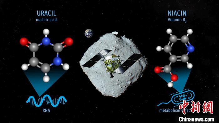 國際最新研究稱，近地小行星“龍宮”上發現尿嘧啶等核酸堿基