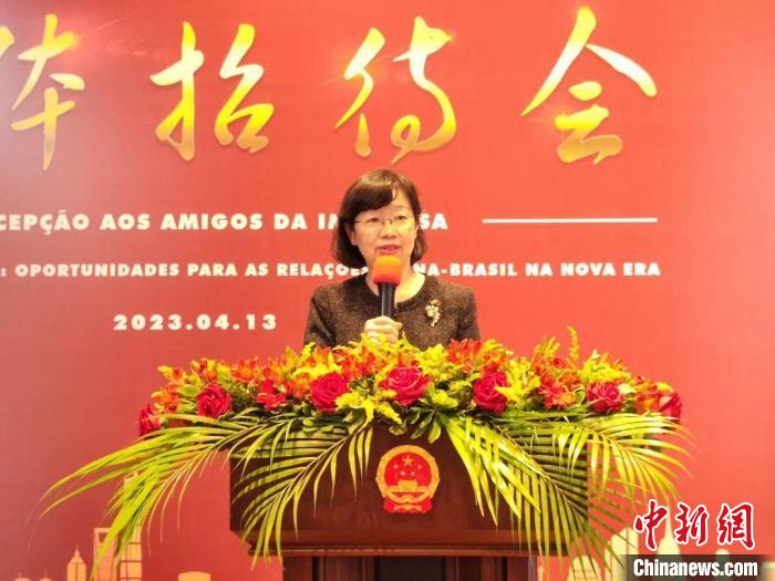 巴西學者專家熱議“中國式現代化對新時期中巴關系的機遇”
