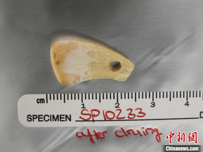 約2萬年前墜飾復原古人類DNA國際創新研發非破壞性提取方法