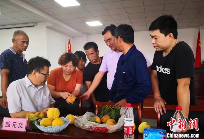 民進浙江省委會為三里橋黃桃種植戶送技術(shù)、送指導。　嘉善統(tǒng)戰(zhàn) 供圖