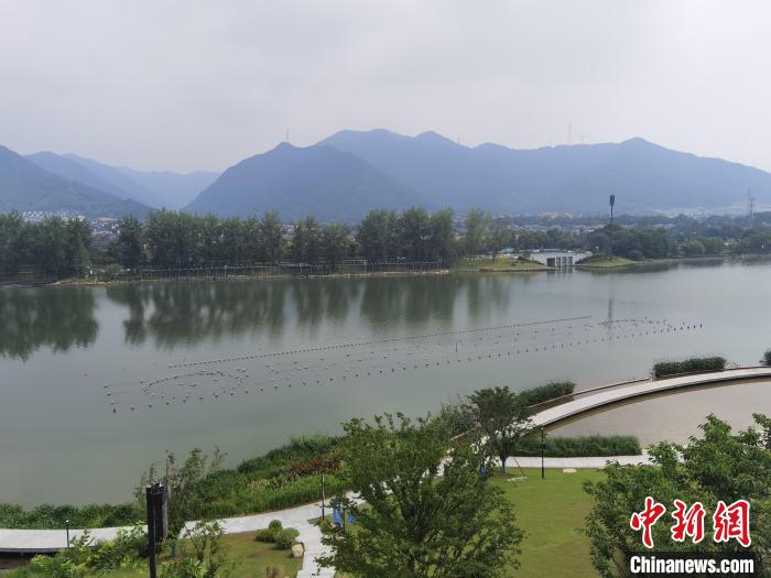 兩岸媒體共探杭州亞運會“綠”在何處？