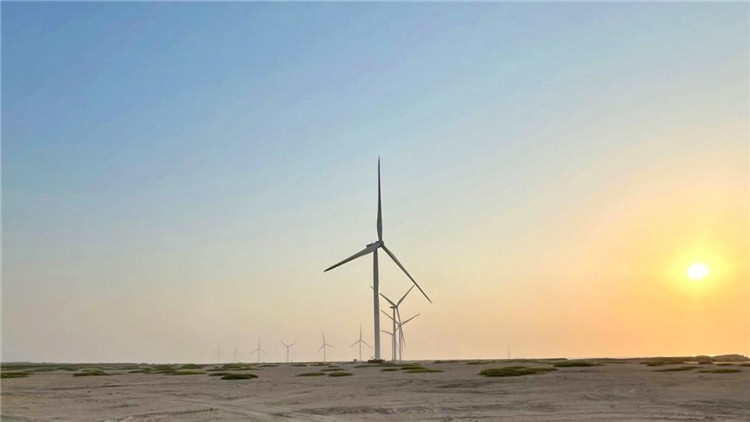 圖為阿聯酋風電示范項目在阿布扎比薩爾巴尼亞斯島上的風電場。 中國電建供圖