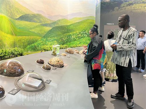   （在中國藥都中醫(yī)藥博物館，外媒記者了解中醫(yī)藥發(fā)展史。中國經(jīng)濟(jì)周刊記者 郭志強(qiáng) 攝）