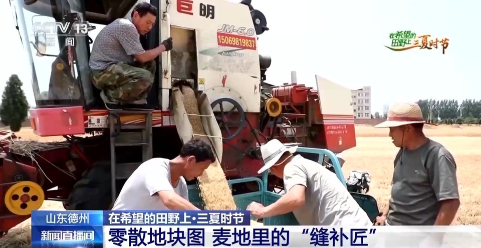 “三夏”生產(chǎn)思維導(dǎo)圖安排上了！還有政府大院等你來“曬”