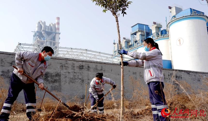 邢臺金隅職工在石邢公路沿線植樹。 宋繼昌攝