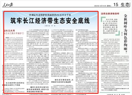 人民日報。截圖