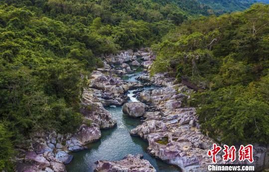 2018年海南生態(tài)環(huán)境狀況等級為“優(yōu)”，植被覆蓋率高，生物多樣性豐富，生態(tài)系統(tǒng)穩(wěn)定，圖為海南中部熱帶雨林。　駱云飛　攝