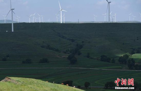 6月28日，河北張家口張北草原上大片風力發電的“風車”規模宏大。 中新社記者 楊艷敏 攝