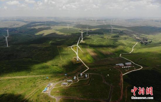 6月28日，河北張家口張北草原上大片風力發電的“風車”規模宏大。 中新社記者 楊艷敏 攝