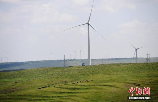 6月28日，河北張家口張北草原上大片風力發電的“風車”規模宏大。 中新社記者 楊艷敏 攝