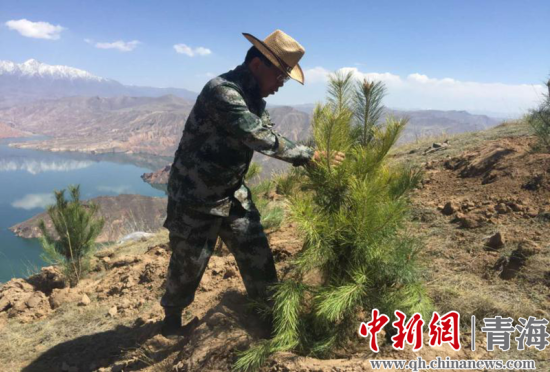 圖為尖扎干部職工生態(tài)建設和環(huán)境保護現(xiàn)場。尖宣 供圖