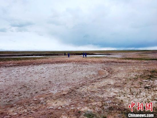 圖為救援力量在青海省西部搜救失聯的江蘇南京某大學女生黃某某。海西州藍天應急救援中心 供圖