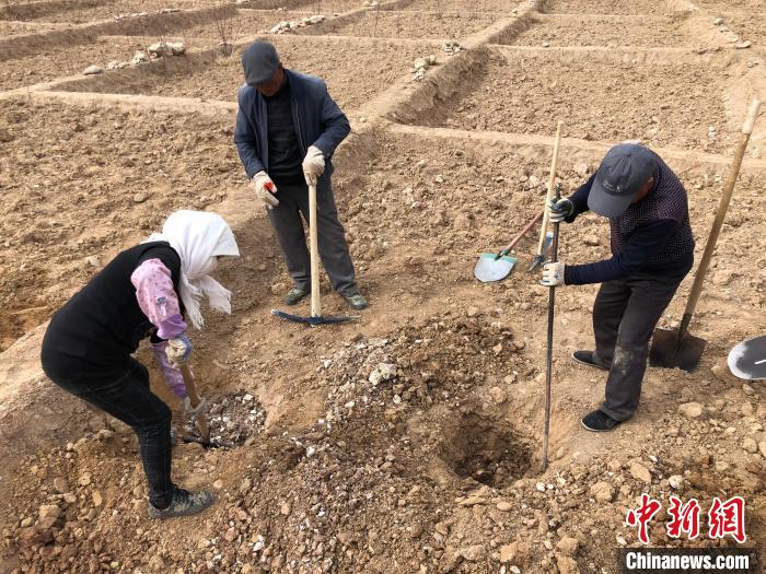資料圖為建行青海省分行綠化區(qū)施工隊隊員處理亂石。　建行青海省分行供圖