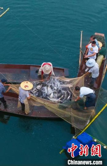捕魚現(xiàn)場?！≈鬓k方供圖