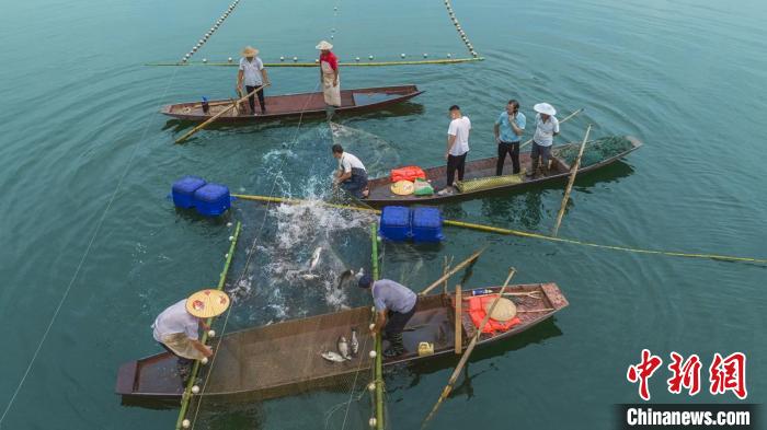 捕魚現(xiàn)場?！≈鬓k方供圖