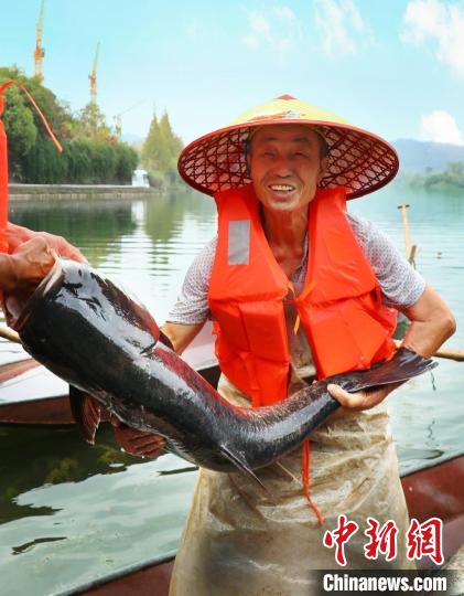 工作人員展示捕撈成果?！≈鬓k方供圖