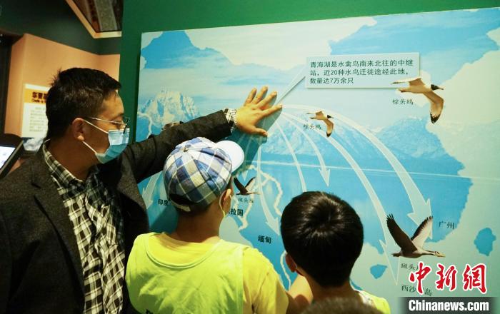 圖為小朋友在青海西寧湟水國家濕地公園科普館內參觀學習?！●R銘言 攝