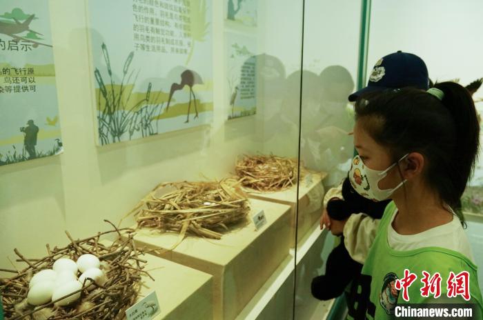圖為小朋友在青海西寧湟水國家濕地公園科普館內參觀學習?！●R銘言 攝