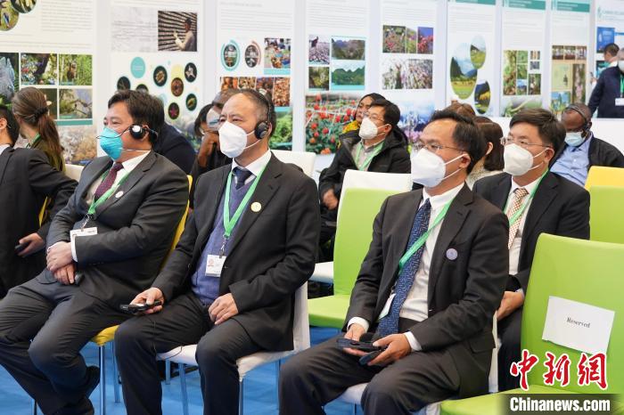 圖為極小種群物種和生物多樣性保護邊會現場。　云南省林業和草原局供圖