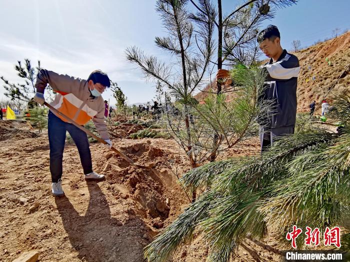 圖為西寧市城東區(qū)義務植樹活動現(xiàn)場。　張?zhí)砀?攝