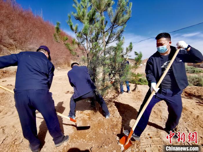 圖為西寧市城東區(qū)義務植樹活動現(xiàn)場。　張?zhí)砀?攝