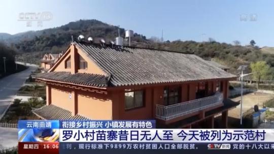 種蘑菇、養駱駝...。。特色產業助力鄉村振興走新路