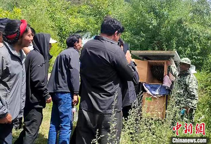拉久西村村民學(xué)習(xí)養(yǎng)蜂工作流程和防范事項。　昌都市芒康縣委宣傳部供圖