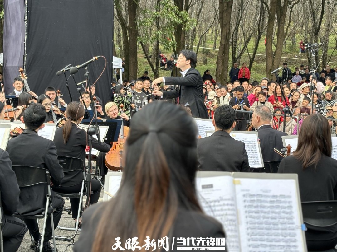 貴陽路邊音樂會(huì)·貴安櫻花園專場交響樂現(xiàn)場。丁亞 文丹 攝