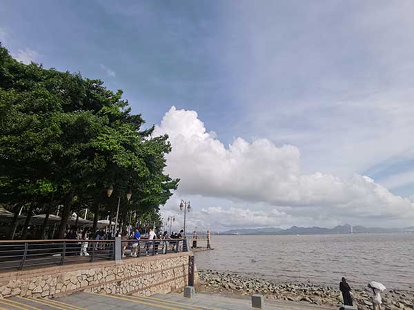 紅樹林灘涂沿線一角。人民網記者 張素玲攝
