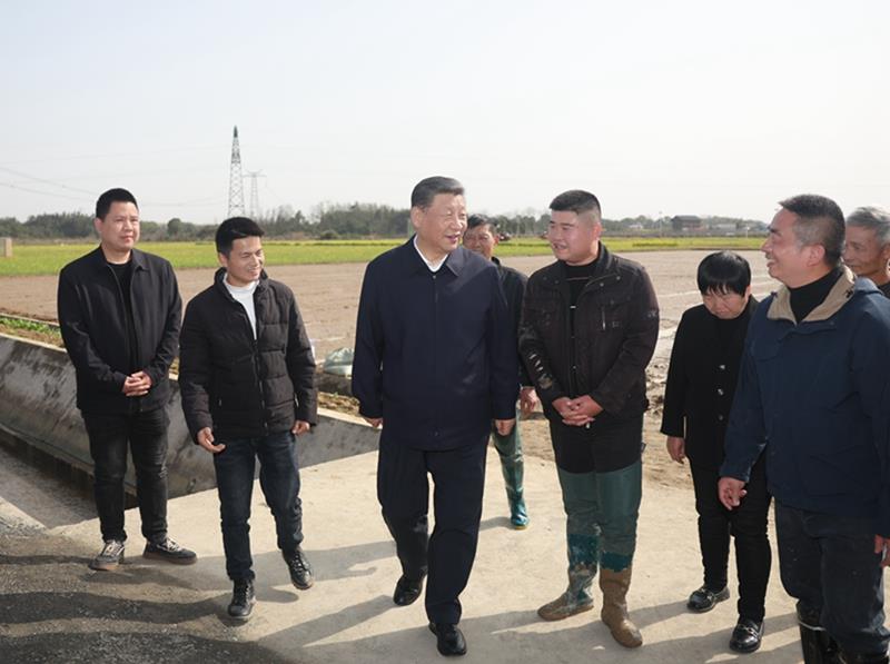 追光的你丨勞動創造幸福未來