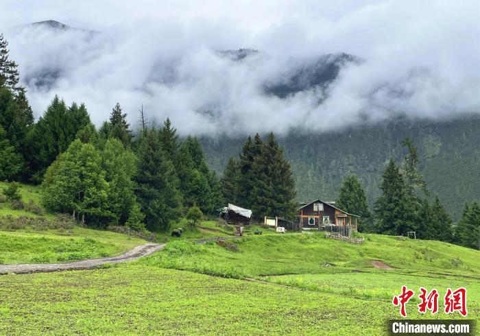 6月10日，魯朗小鎮高山牧場景區風光。　冉文娟 攝