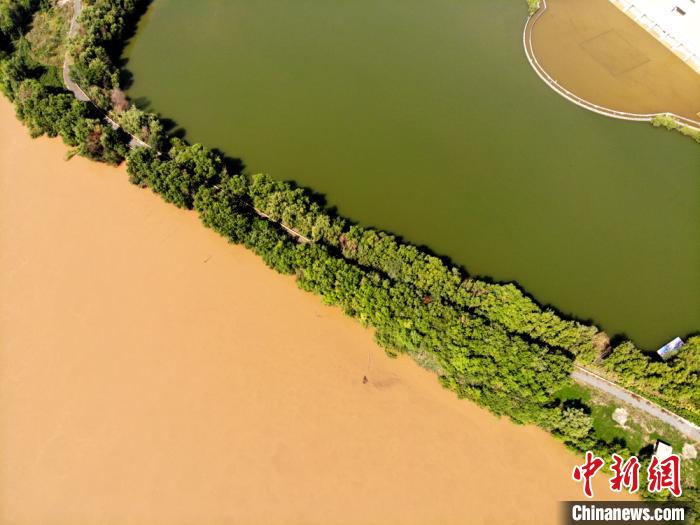 圖為2020年9月3日航拍黃河蘭州段濕地公園現黃河“鴛鴦鍋”。(資料圖) 高瑩 攝