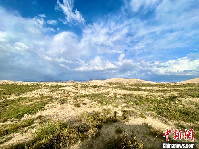 圖為關(guān)停四年后的沙島景區(qū)現(xiàn)狀。　李江寧 攝