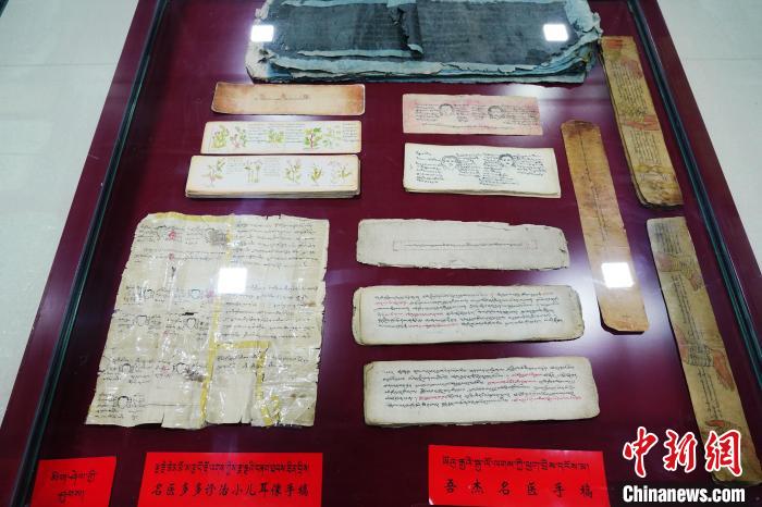 圖為藏醫古集文獻和藏醫臨床原始手稿。　馬銘言 攝