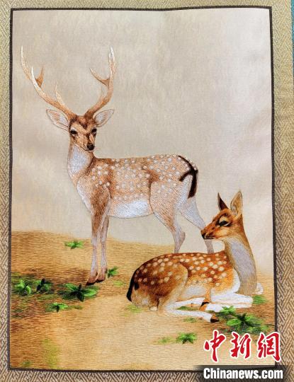 圖為藏繡作品?！∑钤鲚?攝