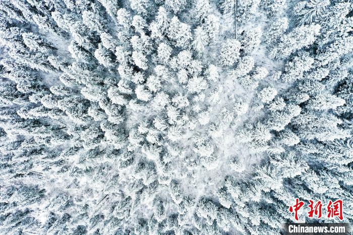 壤塘的雪后美景。　壤塘縣融媒體中心供圖