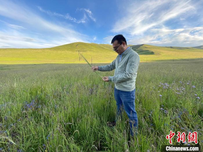 青海達(dá)日“援青縣長(zhǎng)”：雪域高原生態(tài)、民生“并蒂花開(kāi)”