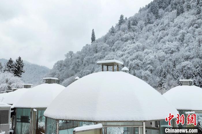 大熊貓國(guó)家公園王朗片區(qū)春雪如畫，宛若仙境。　羅春平 攝