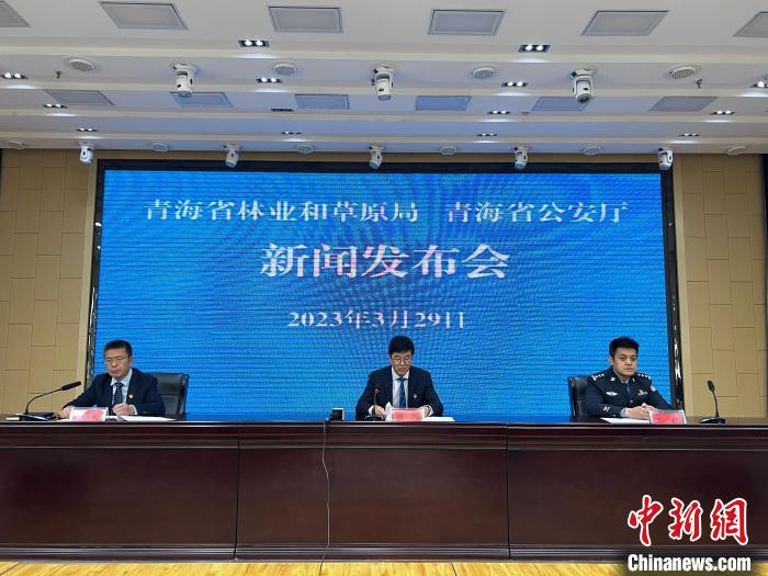 青海去年占用林地、草地準(zhǔn)予許可件同比實(shí)現(xiàn)“雙減”