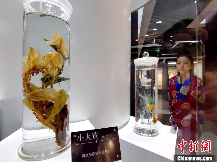 青海中藏醫(yī)藥發(fā)展提速：建設(shè)一批重點專科學(xué)科，推廣一批適宜技術(shù)