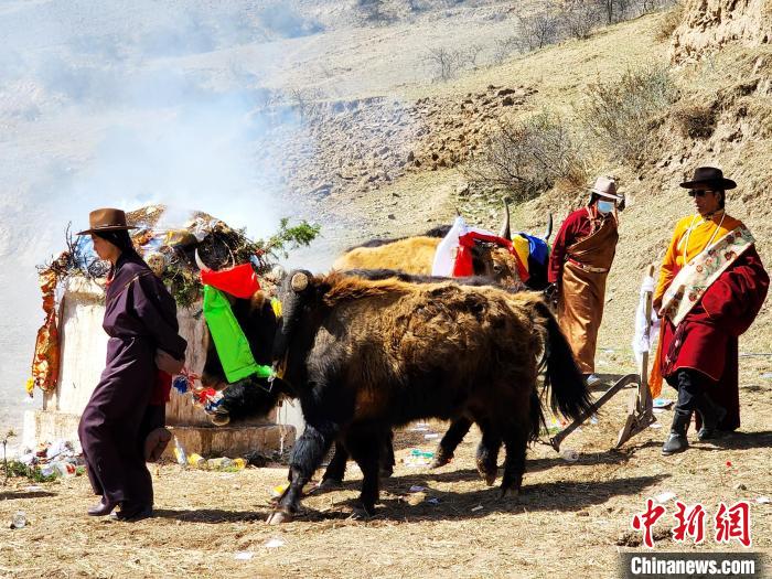 圖為春耕儀式現場?！⊥觖惿?供圖