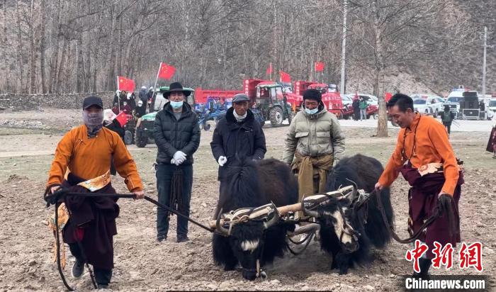 圖為活動現場當地群眾展示傳統春耕方式?！±罱瓕?攝